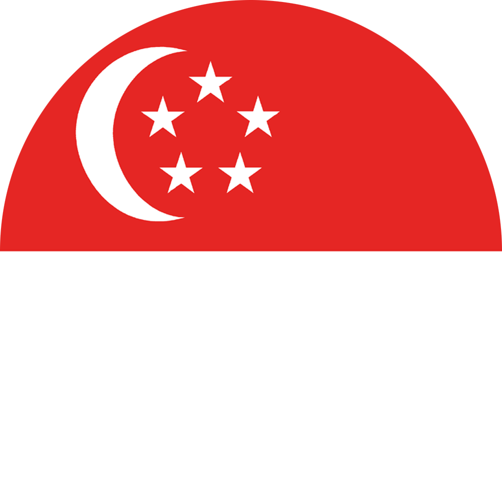 Singapore Icon